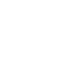 Icon Fahrzeug